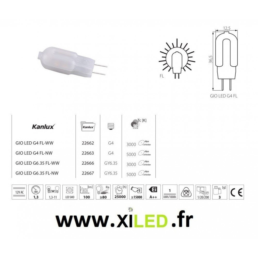 Ampoule LED G4 3W Blanc Froid, 6000K, Ampoules G4 12V-24V AC-DC